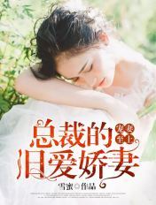 宠妻至上:总裁的旧爱娇妻