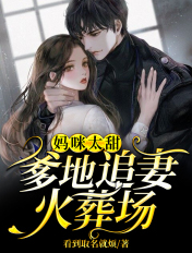 妈咪太甜:爹地追妻火葬场
