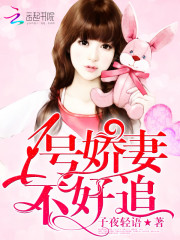 1号娇妻,不好追