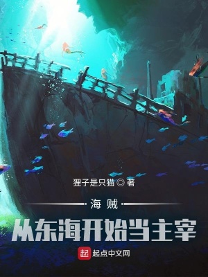 海贼:从东海开始当主宰