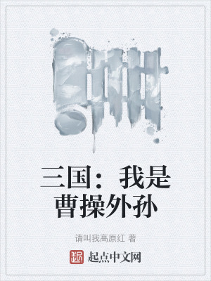 三国:我是曹操外孙