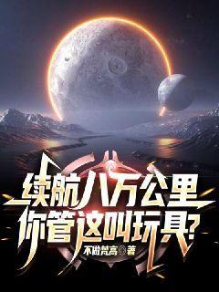 续航八万公里,你管这叫玩具?