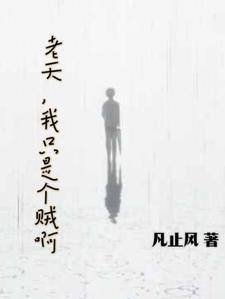 老天,我只是个贼啊