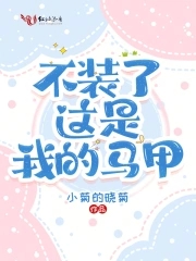 不装了,这是我的马甲