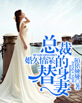 婚久情深:总裁的替身妻