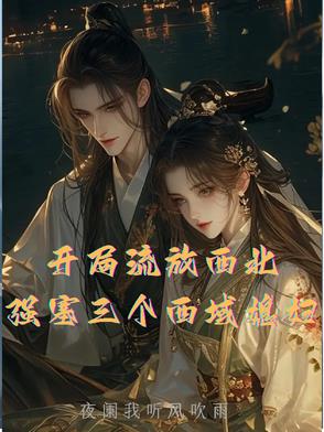 开局流放西北,强塞三个西域媳妇