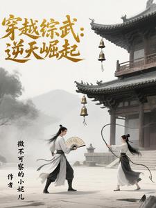 穿越综武：逆天崛起