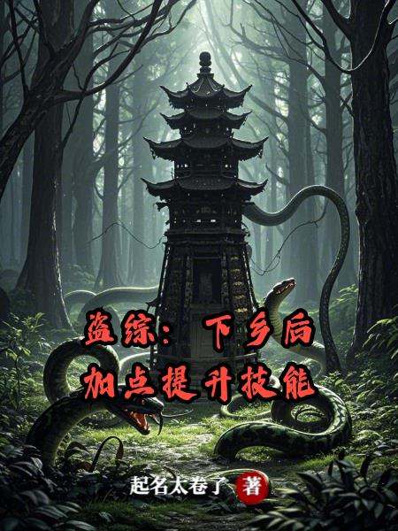 盗综:下乡后加点提升技能