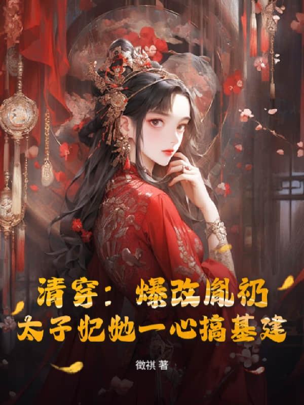 清穿爆改胤礽,太子妃一心搞基建