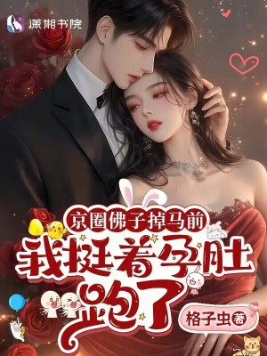 京圈佛子掉马前,我挺着孕肚跑了