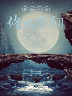 星武,我有一个修炼空间