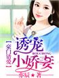 豪门错爱:诱爱小娇妻