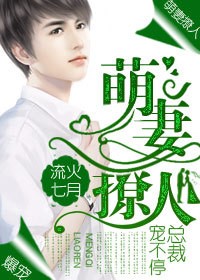 萌妻撩人:总裁,宠不停