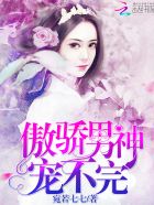傲娇男神,宠不完!