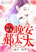 名门婚宠:晚安,郝太太