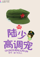 重生军婚:陆少高调宠